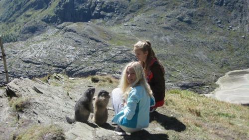 Agroturismo Zirbenhof