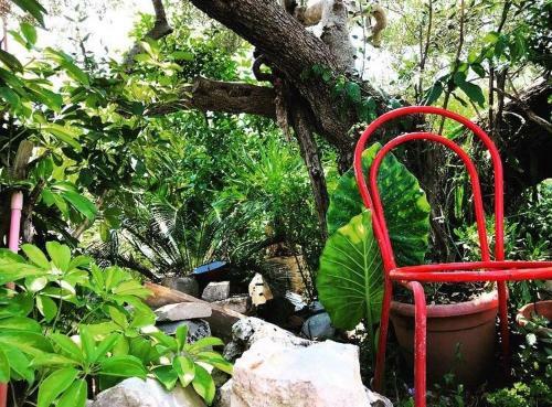 Apartamento Faros Oasis