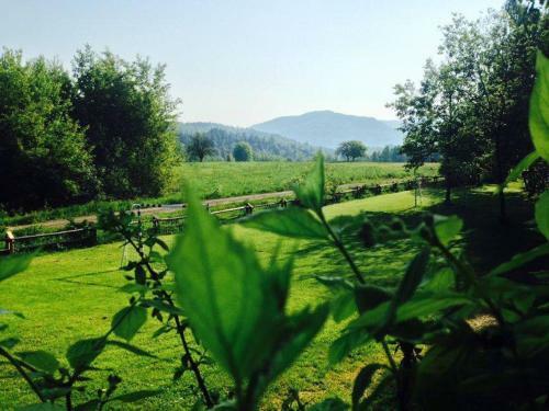 Bed & Breakfast Modryna - Modrzewiowy Dom