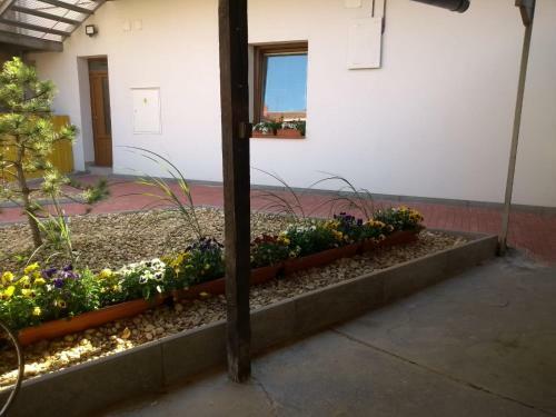Apartm�ny Lono