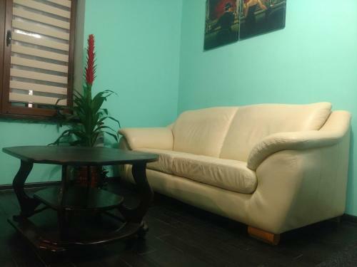 Magnificent Apartment In Central Lviv