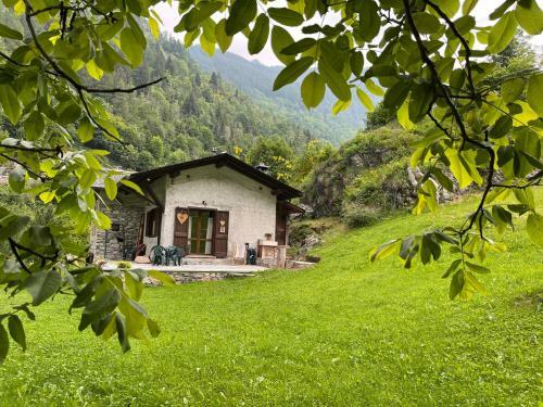Bed And Breakfast Campo Base