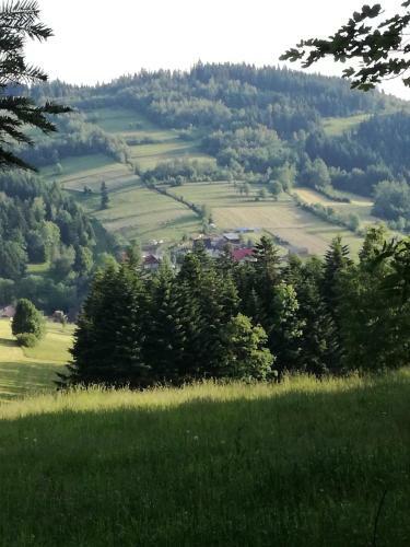 Lodge Domek W Harkabuzie