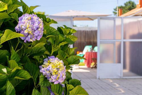 Marinhas - Moradia V4 Com Piscina E Pr�ximo Da Praia - Esposende
