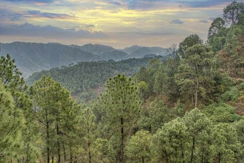 Apartamento The Himalyan Mansion Kasauli