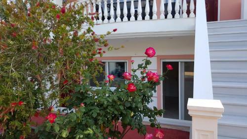 Agroturismo Sunset Luxury Apartment's