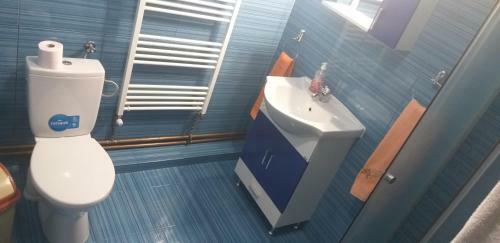 Hostal Pensiunea Casa ?te? Toader Iulian