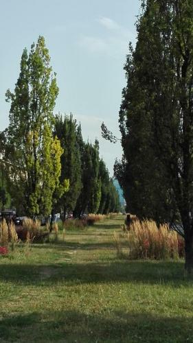 Apartament Krakowski Styl