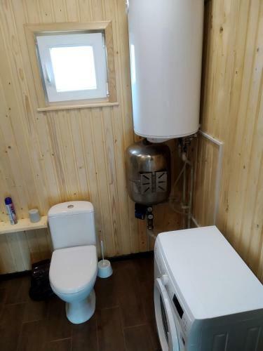 ?????? ????? / Hedgehog Hill