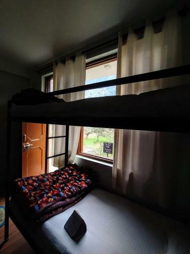 Farm Hostel And Camps