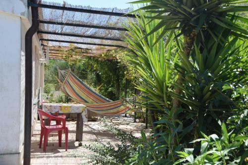 Bed & Breakfast Masseria Dei Monelli