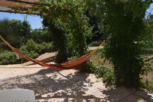 Bed & Breakfast Masseria Dei Monelli