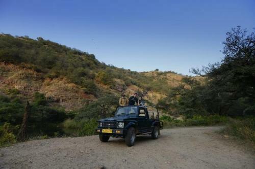 Hotel Sundervan Wildlife Resort