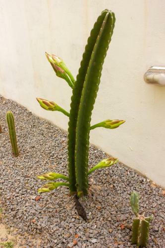 Espa�o Lua Mar Chal�