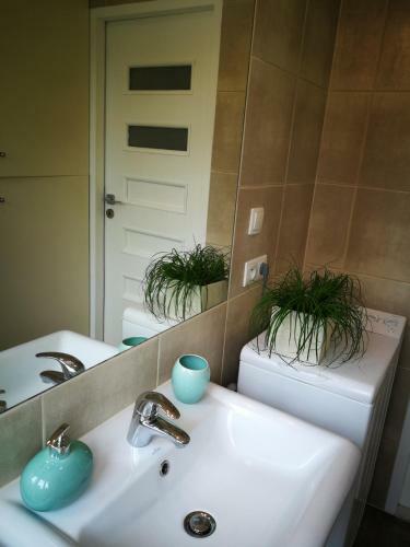 Lemon Tree Apartment