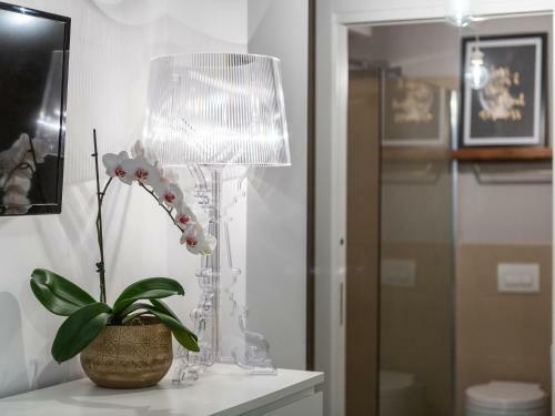 Bed & Breakfast Q-riosity Boutique Rooms