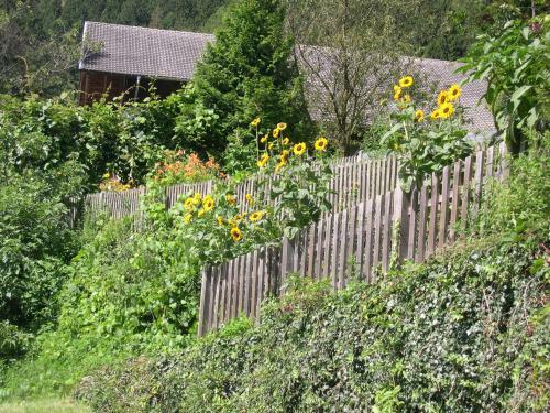 Apartamento Obergereuthhof