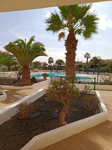 Apartamento Las Torres Del Castillo-120 Palms