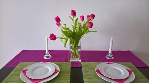 Apartm�n Zderadova