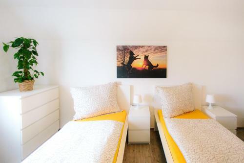 Apartamento Steira-studios
