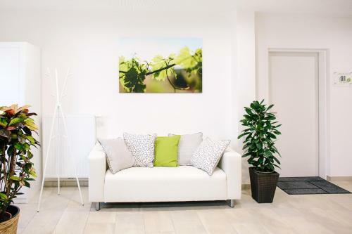 Apartamento Steira-studios