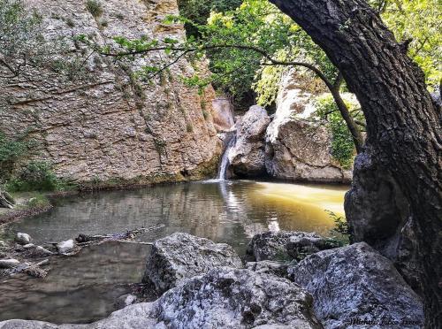 Bed & Breakfast Vieniacasaccadia