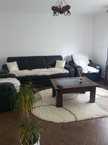 Hostal Green Forest Bran House