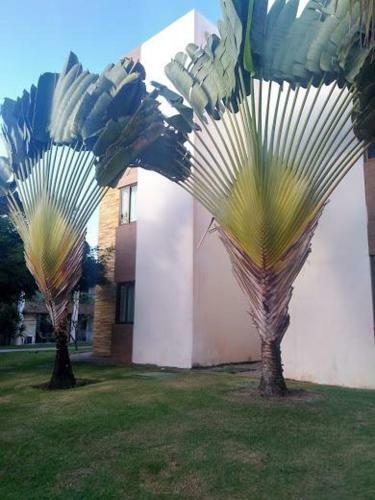 Apartamento No Melhor Complexo Aqu�tico de Barra de S�o Miguel/al