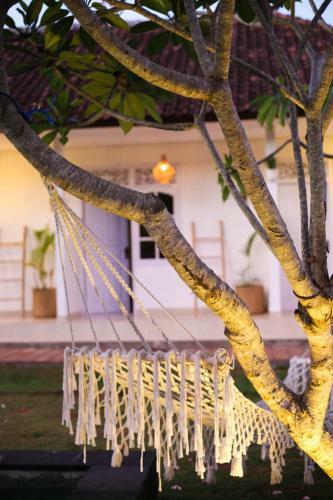 Hotel Buffalo Surfcamp