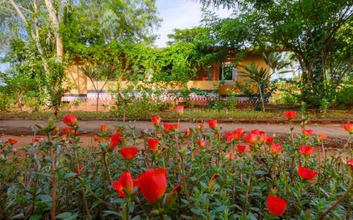 Svanir Wilderness Homestay, Bhubaneswar