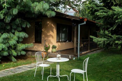 Cozy Room With A Garden