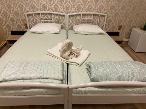 Hostal Pensiunea Exotic