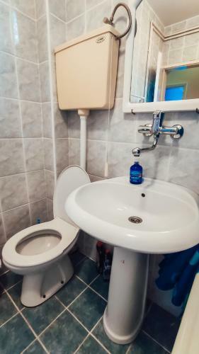 Apartman Davidovi?