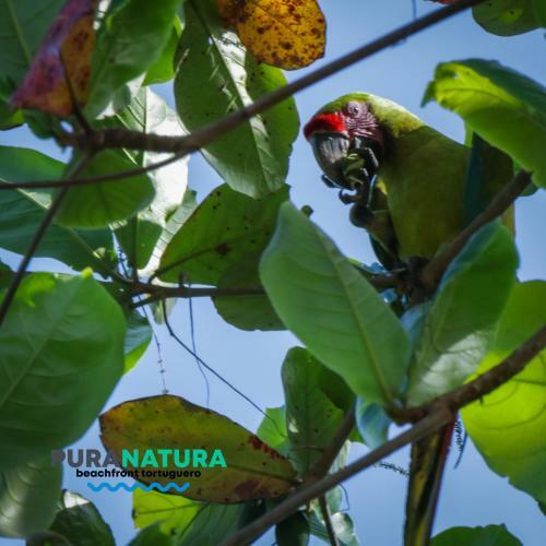 Hostal Pura Natura