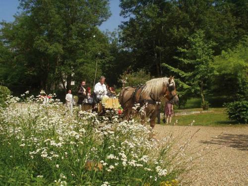 Bed & Breakfast Domaine Des Forges de La Vache