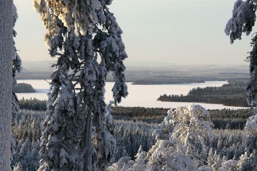 Apartamento Saukkovaaran M�kit / Gottages