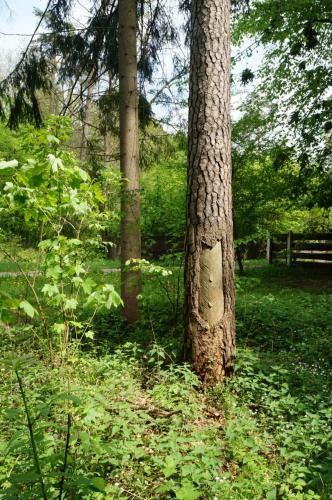 Apartamento Agroturystyka W Lesie