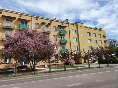 Loft Apartament