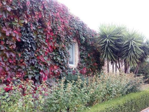 Hostal Quinta Do Ervedal- Castelo Novo