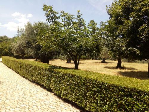 Hostal Quinta Do Ervedal- Castelo Novo