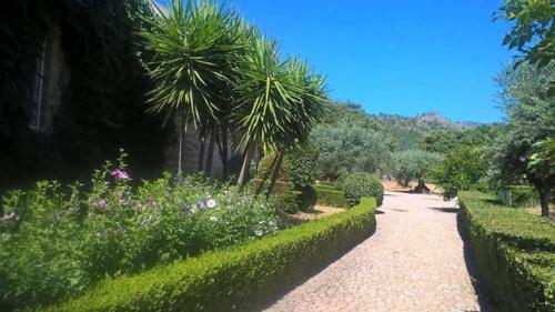 Hostal Quinta Do Ervedal- Castelo Novo