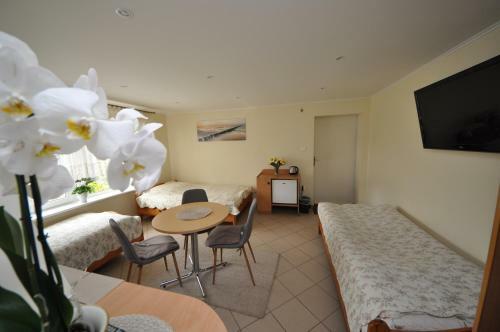 Villa Dzika Pla?a