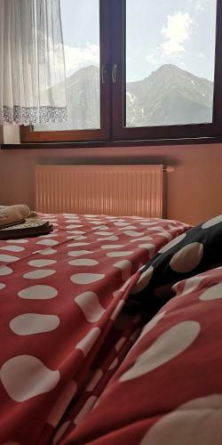 Priv�t Bachleda ?diar