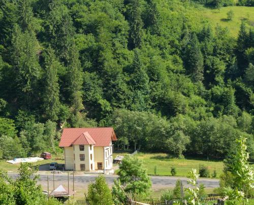 Hotel Lisnyi
