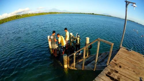 Posada Sari Dive & Cottage