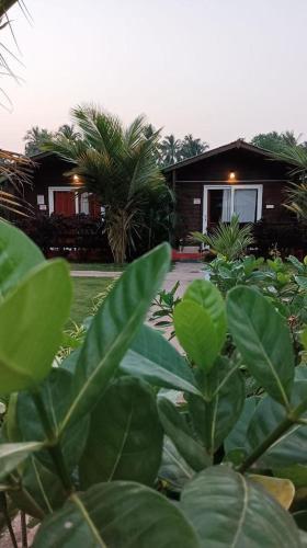 Hotel Livingstone Arambol Water Resort
