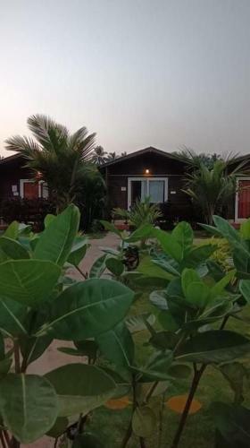 Hotel Livingstone Arambol Water Resort