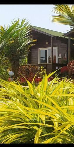 Hotel Livingstone Arambol Water Resort