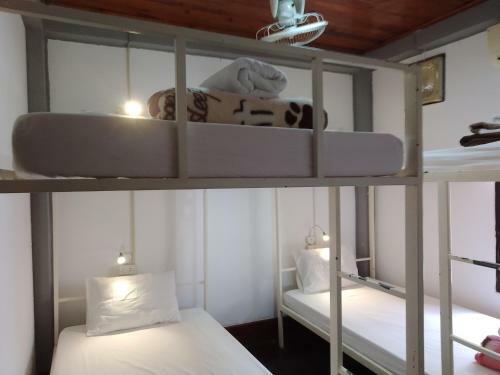 Funny Backpacker Hostel