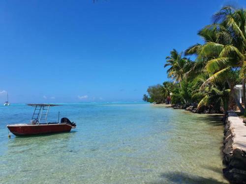 Moorea - Bungalow Chez Papou